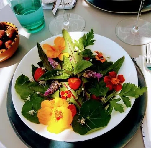 Aegean Garden Kardhianí